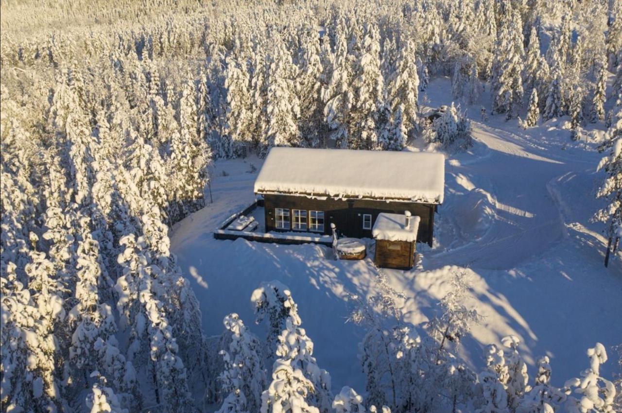 Cabin With Sauna In Trysil Extérieur photo
